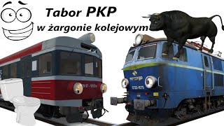 Tabor PKP w żargonie kolejowym [upl. by Dnalkrik497]