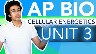 AP Biology Unit 3 Crash Course Cellular Energetics [upl. by Clere]