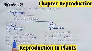 Reproduction in plants  Life Cycle Bryophyte And Gymnosperms  Class 12 Biology [upl. by Orsa502]