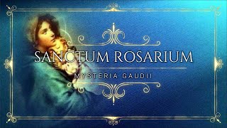 Santo Rosario Misterios Gozosos en Latín  Sanctum Rosarium Mysteria Gaudii [upl. by Nilhtac]