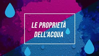 Proprietà dellacqua  Pillole di scienza [upl. by Natalee963]