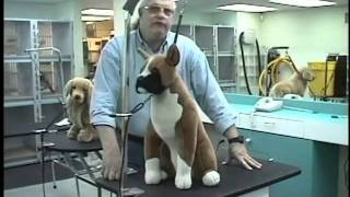 Groomers Helper Training Video [upl. by Dowdell]