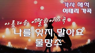 나를 잊지 말아요 물망초 이탈리아 가곡  가사해석자막 non ti scordar di me  Curtis Lyrics [upl. by Delorenzo]