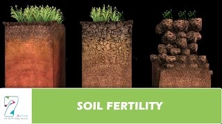 SOIL FERTILITY [upl. by Hambley]