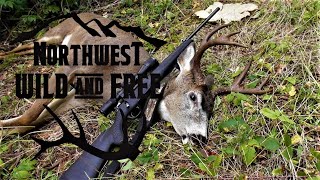 Hunting Blacktail Deer in the Northwest  Nobles Buck [upl. by Ydurt553]