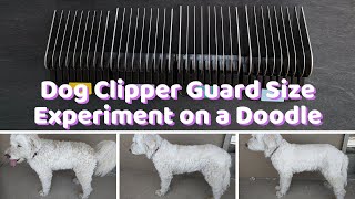 Dog Clipper Guard Size quotChartquot Experiment on my Goldendoodle [upl. by Eissel]