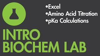 Calculating pKas for an Amino Acid Titration Using Excel [upl. by Onitsoga]