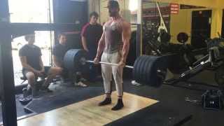 Deadlift 495lbs for 15 reps  Full stop  Bradley Martyn [upl. by Chang622]