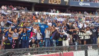 Porra de Gallos Blancos [upl. by Farrell]