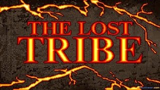 Lost Tribe The gameplay PC Game 1995 [upl. by Rahm]