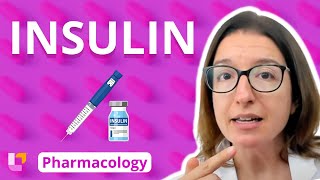 Insulin  Pharmacology  Endocrine System  LevelUpRN [upl. by Arikahc463]