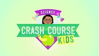 Crash Course Kids Preview [upl. by Randi]