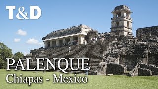 Palenque Tourist Guide 🇲🇽 Mexico Video Guide  Travel amp Discover [upl. by Deroo]