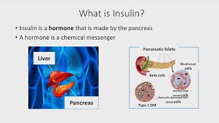 The Basics of Insulin [upl. by Odrawde618]