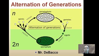 Alternation of Generations [upl. by Llenyar882]