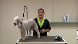 Wahl ARCO Cordless Pet Clipper Review  Go Pets Zone [upl. by Dacey384]