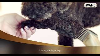 WAHL  Dog Clipping Tutorial [upl. by Severn]