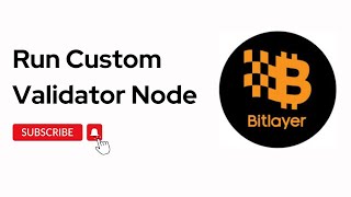 Running Your Custom Validator Node [upl. by Eiramana]