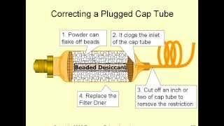 Capillary Tubes in 15 Minutes [upl. by Odette]