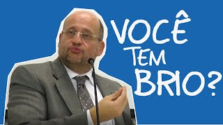 Motivação para estudar BRIO  Clóvis de Barros [upl. by Lemahs]