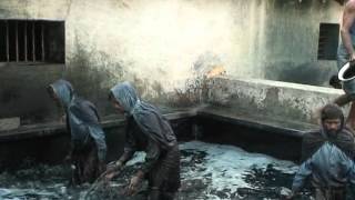 Indigo Dye Extraction [upl. by Orag]