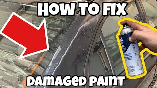 The CHEAPEST Way to Permanently Fix Peeling Paint [upl. by Annekahs168]