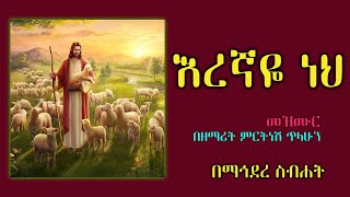 Mirtnesh Tilahun New mezmur Eregnaye neh may 28 2015 [upl. by Tace]