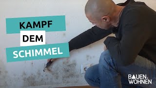 Kampf dem Schimmel  So werden Sie ihn los  BAUEN amp WOHNEN [upl. by Finbar]