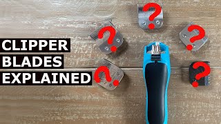 Picking The Right Clipper Blades For Dogs [upl. by Emelin]