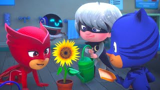 PJ Masks get turned into Babies 🍼 PJ Masks Official [upl. by Refanej13]