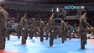 Taekwondo display by the Korean army at the 2013 Hammadang [upl. by Hajidahk]