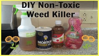 DIY NonToxic Weed Killer  Quick amp Super Easy [upl. by Cotsen]