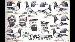 Racing Pigeon History  The Janssen Brothers [upl. by Jehiah395]