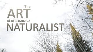 The Art of Becoming a Naturalist [upl. by Nirad739]