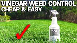 Vinegar Weed Killer  Works in 24 Hours [upl. by Daryn]