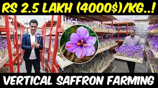 Vertical Saffron Farming  Indoor Hydroponic Saffron Cultivation  How to grow Saffron [upl. by Sherburn]