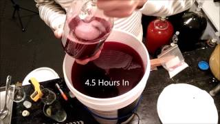 Reusing yeast to start a wine [upl. by Eirallam]