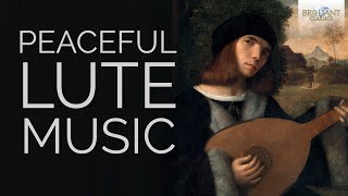 Peaceful Lute Music Vol1 [upl. by Wiebmer788]