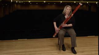 What does a bassoon sound like Ode to Joy [upl. by Nikoletta]