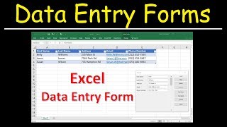 How To Create a Data Entry Form In Microsoft Excel [upl. by Marigolde]