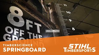 The Science Behind the Springboard  STIHL TIMBERSPORTS® [upl. by Aerdnahs398]