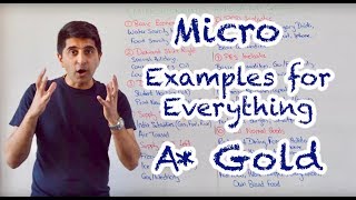 Micro Examples for Literally Everything Pure A Gold [upl. by Shawn]