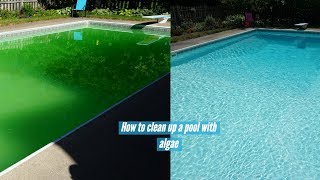 Clean and Vacuum Swimming Pool with Algae [upl. by Cale]