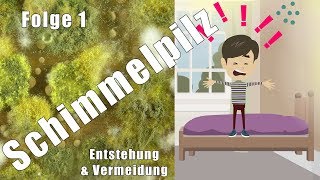 Schimmelpilz in Haus und Wohnung – Wieso Weshalb Warum [upl. by Nimrahc]