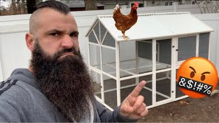 I Bought a Chicken Coop from Tractor Supply Co TSC  Precision Pet Products Review [upl. by Nosral]