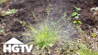 Way to Grow Which Natural Weed Killers Actually Work  HGTV [upl. by Blanding]