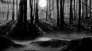 Emotional Dark Music  The Eternal Forest [upl. by Odeen841]