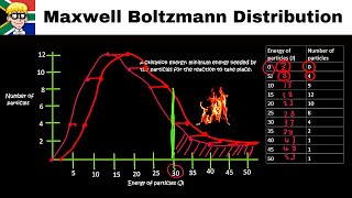 Maxwell Boltzmann Distribution Curve grade 12 [upl. by Dianemarie157]