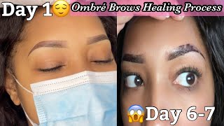 Ombre Brows Healing Process [upl. by Durr870]