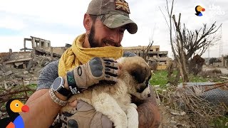 Soldier Saves Puppy Then Realizes He Cant Live Without Her  The Dodo [upl. by Drescher]